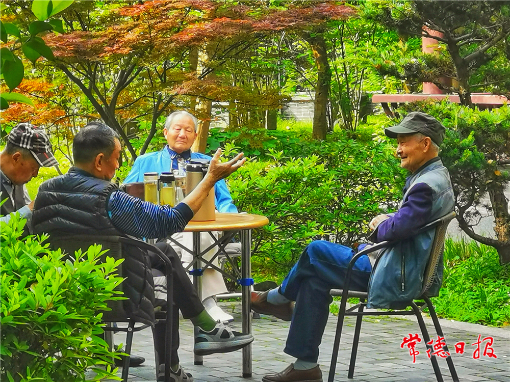 sj楊友如-茶侃人生-1.jpg