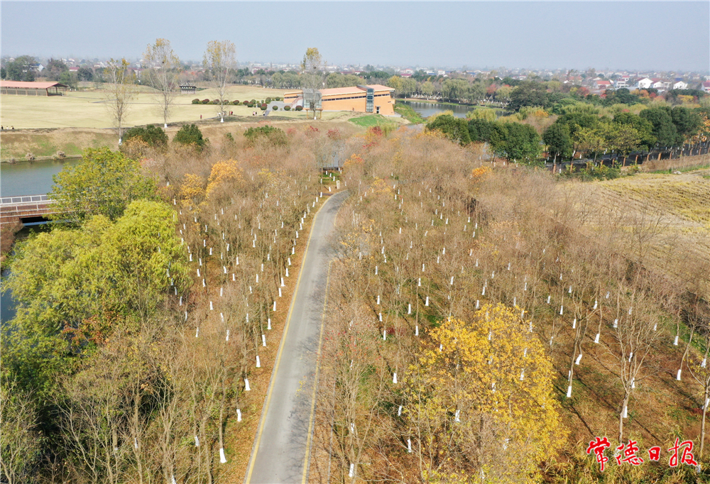 柏依樸.jpg
