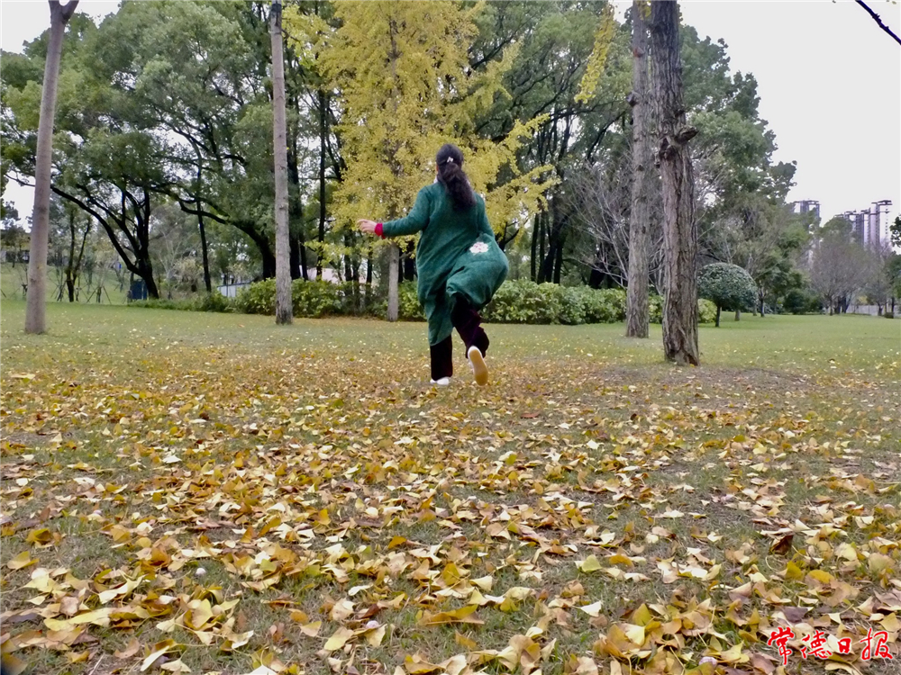 徐家青-屈原公園的秋天-sj.jpg