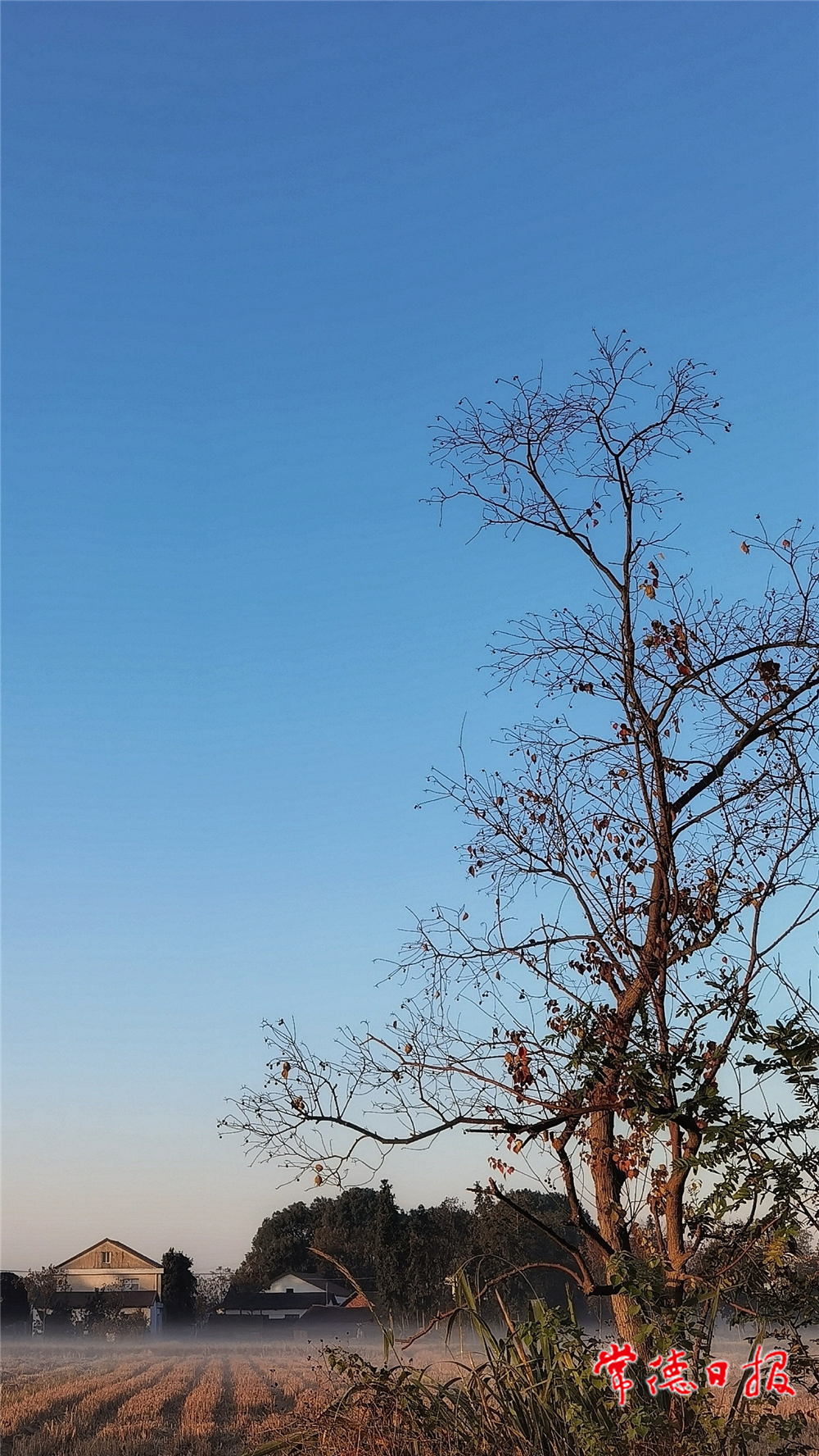 朱世奎-田園風光-2-1.jpg