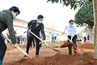 我市開展2022年義務(wù)植樹活動