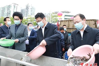 880萬尾魚苗“安家”沅江 常德開展魚類人工增殖放流活動