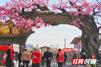 【社會】西湖：金色桃海花開如畫 鄉(xiāng)村振興再展新顏