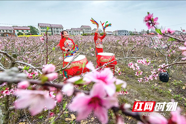 圖片 5.jpg