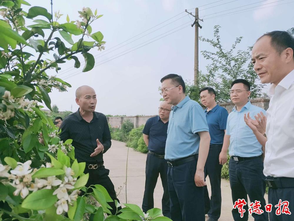 c1a7657d17484c8a9fc2f0b52de77a55.jpeg c1a7657d17484c8a9fc2f0b52de77a55.jpeg