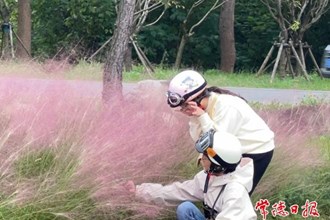 【社會(huì)】快來(lái)柳葉湖，邂逅秋日的粉色浪漫