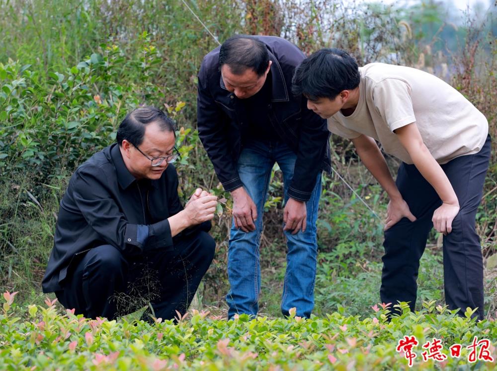 df1bf3ca3f1f4ccb8b9c5d50662425e4.jpg df1bf3ca3f1f4ccb8b9c5d50662425e4.jpg