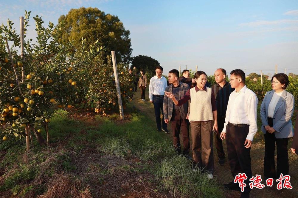 08dac252f6cb466580d30929066db5a7.jpeg 08dac252f6cb466580d30929066db5a7.jpeg