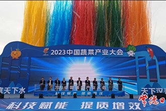 2023中國(guó)蔬菜產(chǎn)業(yè)大會(huì)在漢壽縣召開 我市將努力打造長(zhǎng)江中下游最大“菜籃子”