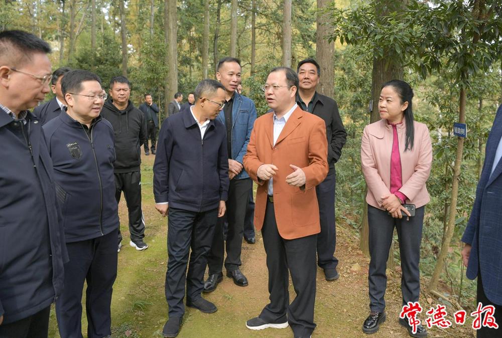 9133931185a64d6e9da32a85a7da6e8c.jpg 9133931185a64d6e9da32a85a7da6e8c.jpg