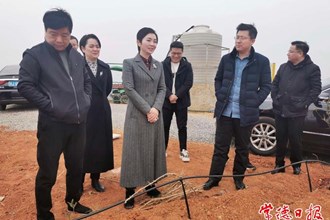 市領(lǐng)導(dǎo)調(diào)研督導(dǎo)生態(tài)環(huán)境保護和林長制工作