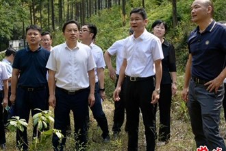 曹志強(qiáng)在常德國(guó)有林場(chǎng)開(kāi)展巡林工作