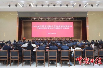 羅毅君：抓牢抓實各項重點任務 奮力開創(chuàng)全市基層黨建工作新局面