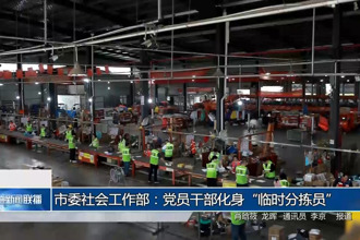 常德市委社會工作部：黨員干部化身“臨時分揀員”