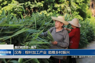 我們的節(jié)日 端午(5月30日)