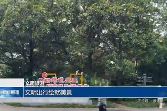 文明出行繪就美景