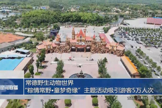 常德野生動(dòng)物世界：“粽情常野?童夢(mèng)奇緣”主題活動(dòng)吸引游客5萬(wàn)人次