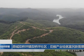 鼎城雙橋坪鎮(zhèn)雙橋坪社區(qū)：花椒產(chǎn)業(yè)繪就富民新圖景