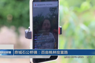 鼎城石公橋鎮(zhèn)：百畝桃林繪富路