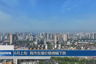 6月上旬 常德市生豬價(jià)格微幅下跌