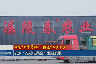 安鄉(xiāng)：推動油菜全產(chǎn)業(yè)鏈發(fā)展