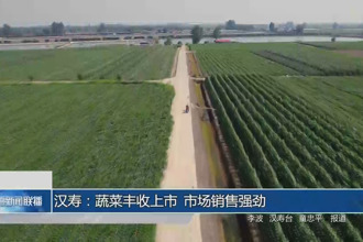 漢壽：蔬菜豐收上市 市場銷售強(qiáng)勁