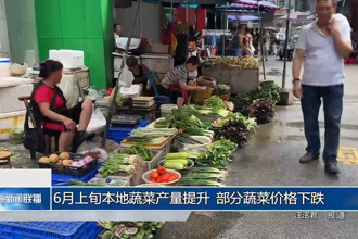 6月上旬本地蔬菜產(chǎn)量提升 部分蔬菜價格下跌