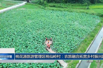 桃花源旅游管理區(qū)桃仙嶺村：農(nóng)旅融合拓寬鄉(xiāng)村振興路