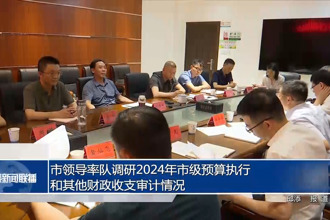 市領(lǐng)導(dǎo)率隊(duì)調(diào)研2024年市級(jí)預(yù)算執(zhí)行和其他財(cái)政收支審計(jì)情況