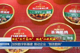 加快數(shù)字新基建 推動(dòng)企業(yè)“智改數(shù)轉(zhuǎn)”