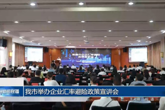 常德市舉辦企業(yè)匯率避險政策宣講會
