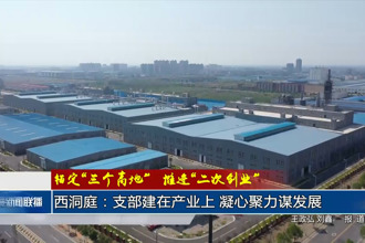 西洞庭：支部建在產(chǎn)業(yè)上 凝心聚力謀發(fā)展