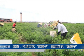 漢壽：打造百億“菜籃子” 鼓起菜農(nóng)“錢袋子”