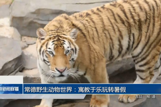 常德野生動物世界：寓教于樂玩轉(zhuǎn)暑假