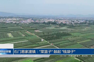 石門易家渡鎮(zhèn)："菜籃子" 鼓起 "錢袋子"