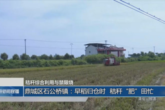 鼎城區(qū)石公橋鎮(zhèn)：早稻歸倉(cāng)時(shí) 秸稈“肥”田忙