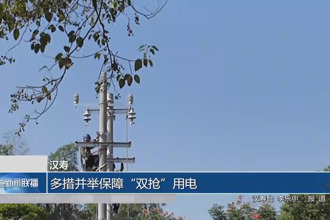 漢壽：多措并舉保障“雙搶”用電