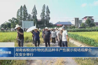 湖南省糧油作物優(yōu)質(zhì)品種豐產(chǎn)性展示現(xiàn)場觀摩會在安鄉(xiāng)舉行