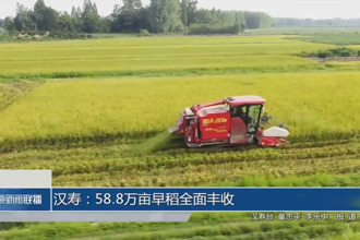 漢壽：58.8萬畝早稻全面豐收