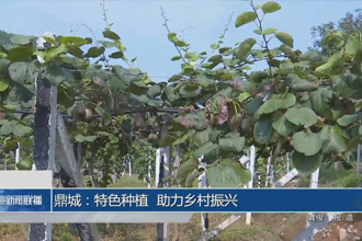 常德市鞏固拓展脫貧攻堅成果同鄉(xiāng)村振興有效銜接工作推進會召開