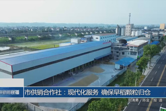 常德市供銷合作社：現(xiàn)代化服務 確保早稻顆粒歸倉