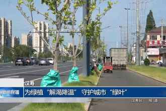 漢壽：為綠植“解渴降溫” 守護(hù)城市綠葉