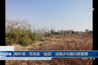 柳葉湖：荒地變“金園” 繪就鄉(xiāng)村振興新圖景