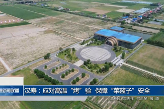 漢壽：應(yīng)對高溫“烤”驗(yàn) 保障“菜籃子”安全