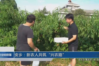 安鄉(xiāng)：新農(nóng)人共筑“興農(nóng)路”