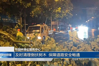 市園林綠化服務(wù)中心：及時(shí)清理倒伏樹(shù)木 保障道路安全暢通