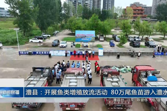 澧縣：開展魚類增殖放流活動 80萬尾魚苗游入澧水