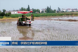 鼎城區(qū)：供銷社護(hù)航晚稻種植