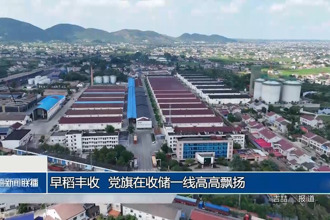 早稻豐收 黨旗在收儲(chǔ)一線高高飄揚(yáng)