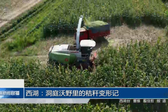 西湖：洞庭沃野里的秸稈變形記